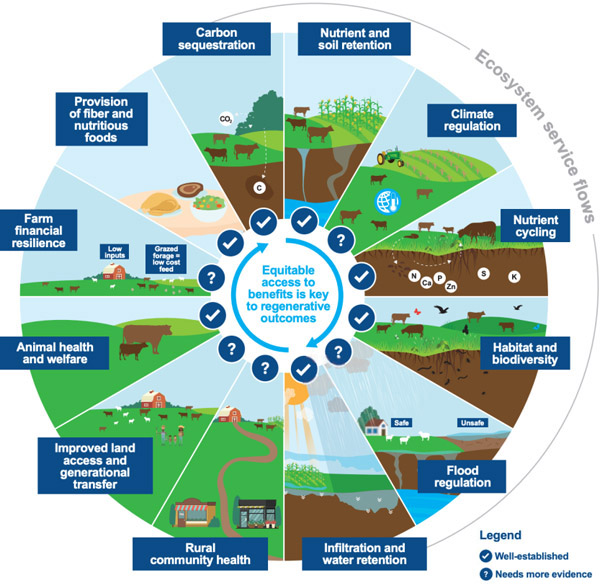 Benefits of regenerative grazing