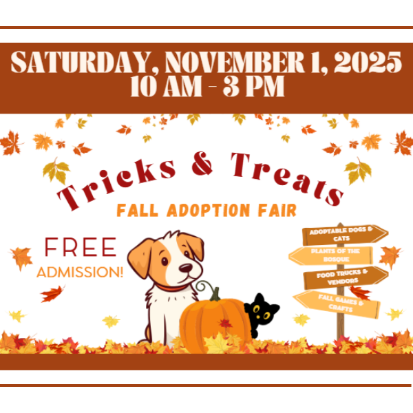 Trick or Treats mini logo