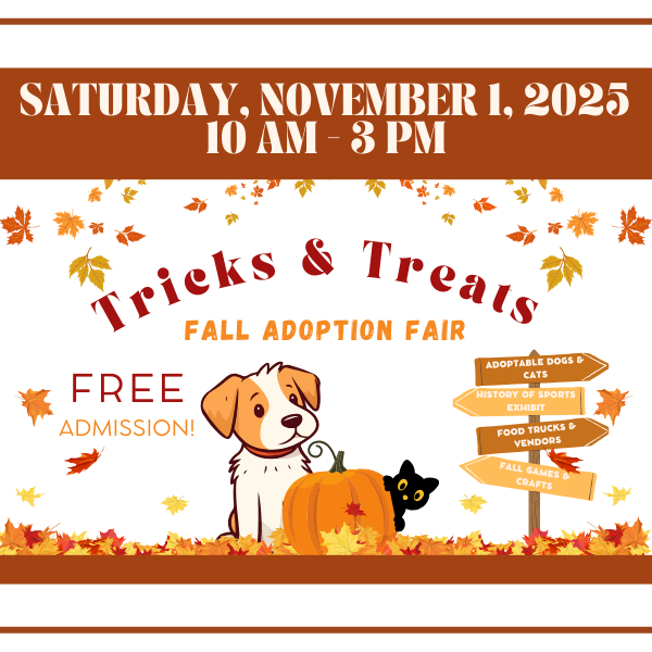 Trick or Treats mini logo