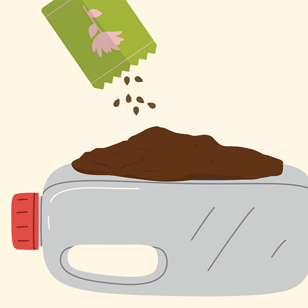 Winter Seed Sowing Workshop